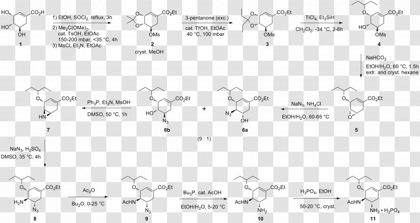 Shikimic Acid Oseltamivir Total Synthesis - Chemistry - Chemical Transparent PNG