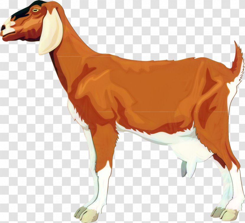 Stock Photography Fotosearch Goat Animal - Figure - Livestock Transparent PNG