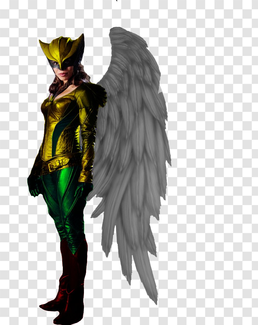 Hawkgirl Injustice: Gods Among Us Commander Steel Comics - Armour Transparent PNG