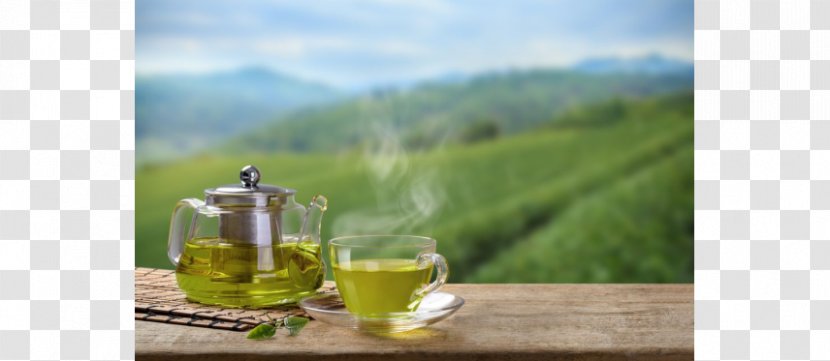 Green Tea Masala Chai Health Breakfast - Drink Transparent PNG