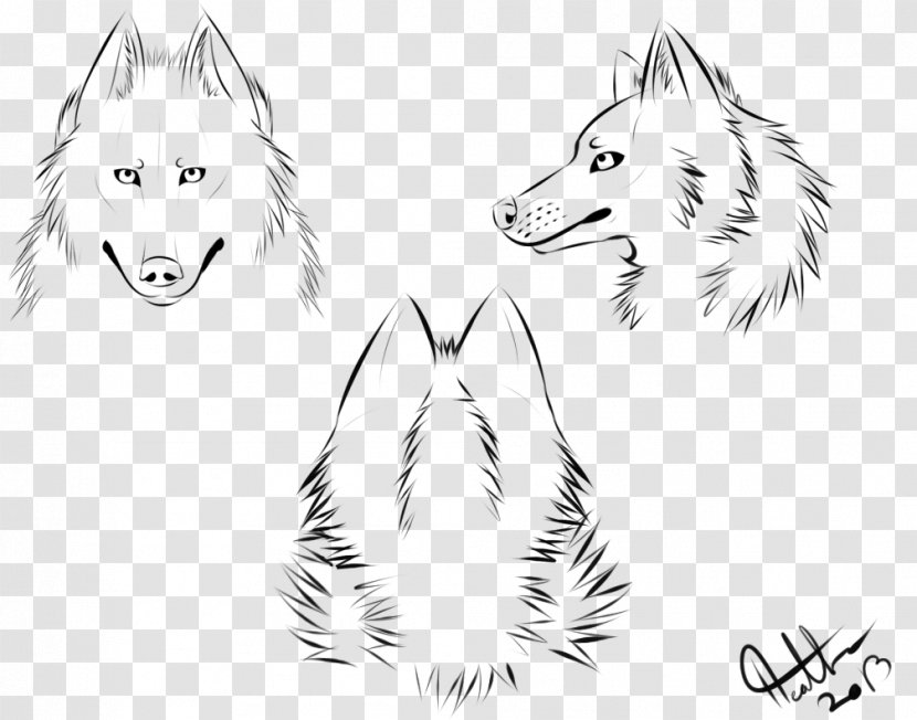 Gray Wolf Snout Drawing Sketch - Head And Neck Anatomy - Howto Transparent PNG
