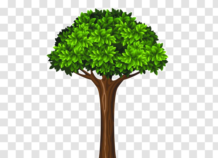 Tree Green - Cartoon Transparent PNG
