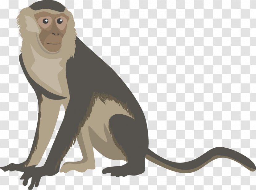 Yellow Fever Vaccine Infection Symptom - Shivering - Monkey Transparent PNG