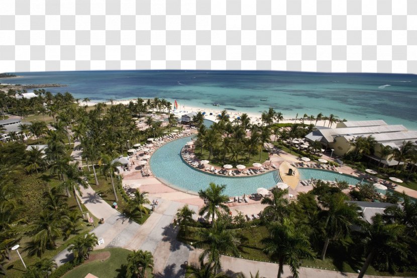 Grand Bahama Hotel Pirates Of The Caribbean Resort - Five Star Beach Swimming Pool Transparent PNG