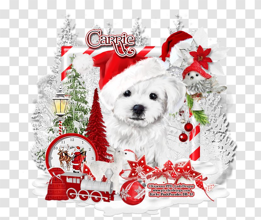 Dog Breed Puppy Companion Christmas - Creative Book Transparent PNG