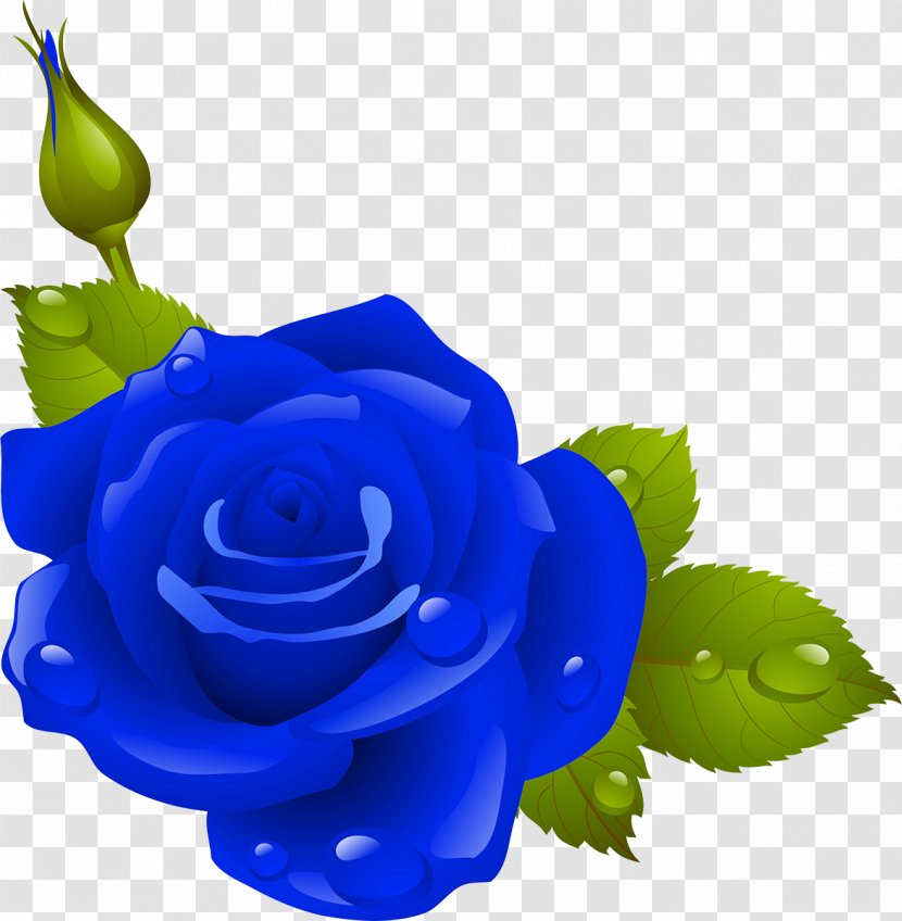 Parent-in-law Mother Clip Art - Flowering Plant - Blue Flower Transparent PNG