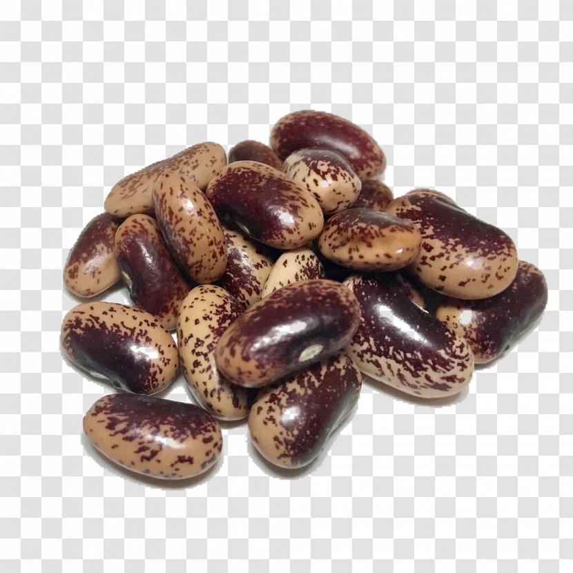 Holland Heirloom Beans Organic Food Plant - Mixed Nuts Transparent PNG