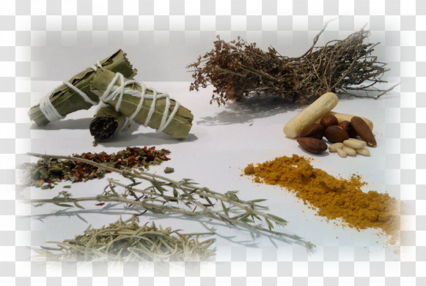 Fines Herbes Spice Mix Marjoram - Condiment Transparent PNG