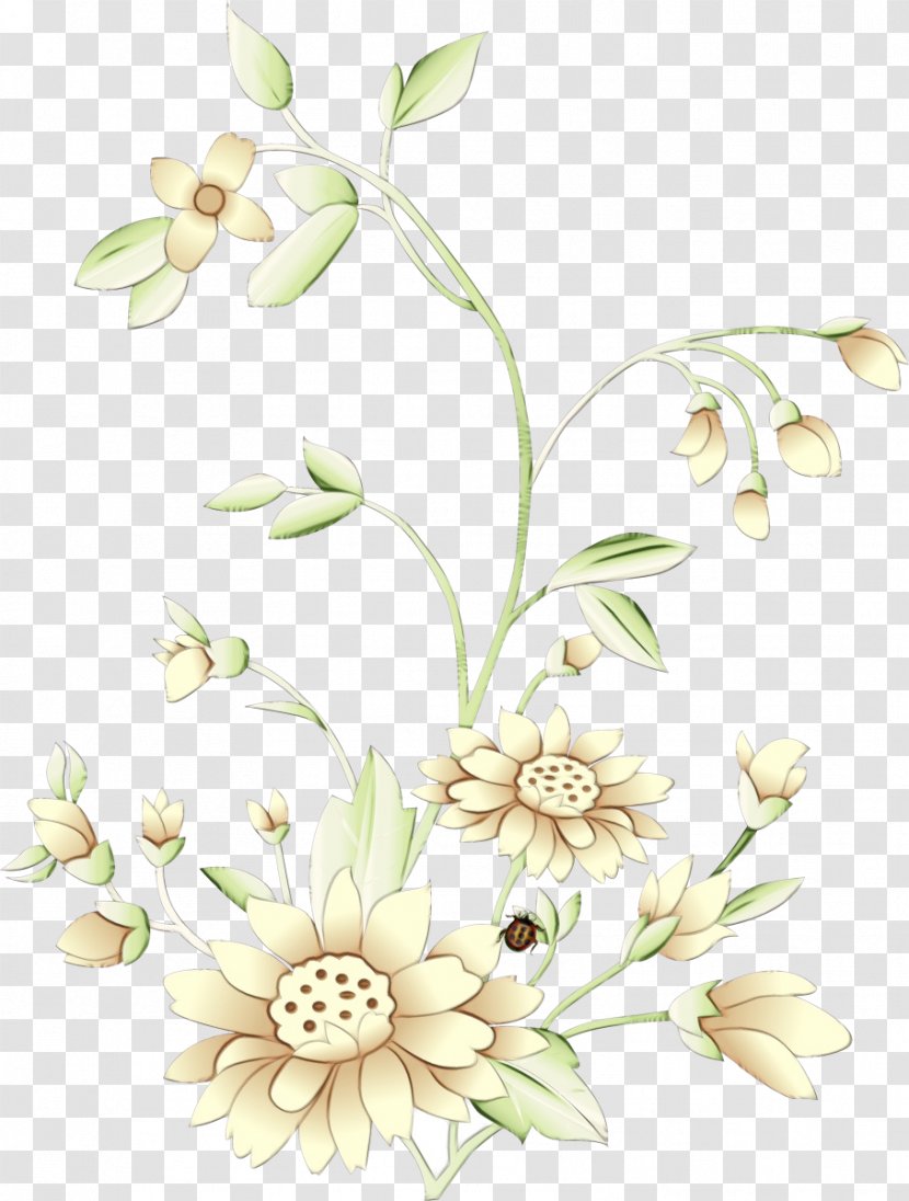 Watercolor Flower Background - Flowering Plant - Wildflower Floristry Transparent PNG