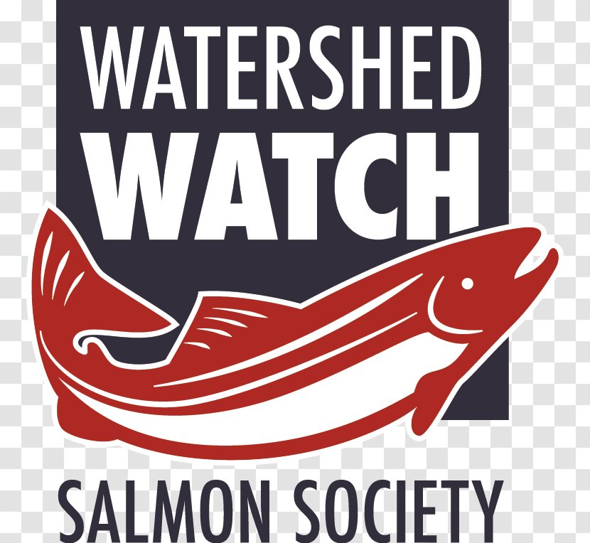 Battlefield V British Columbia Salmon Bristol Bay Society - Conservation - Westside Creeks Restoration Project Transparent PNG