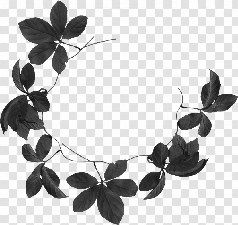 Plant - Branch - Black And White Transparent PNG