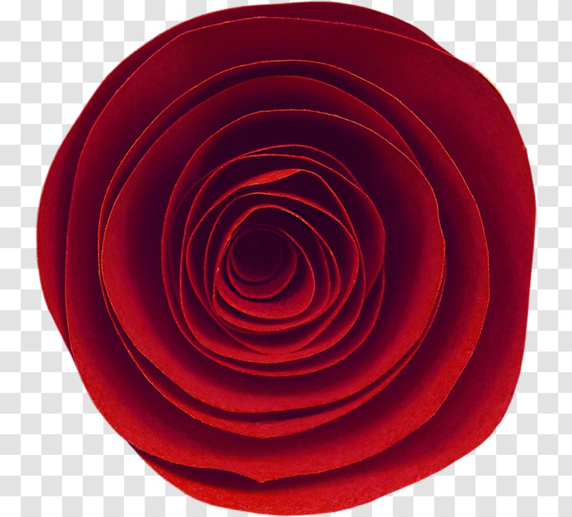 Garden Roses Circle - Red Transparent PNG