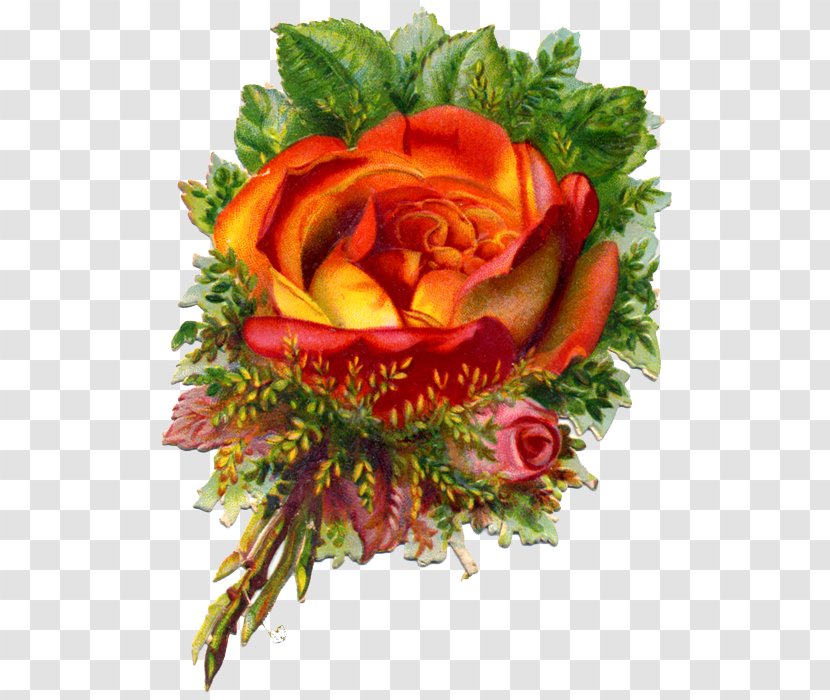 Garden Roses Victorian Era Cut Flowers Bokmärke - Die Cutting - Flower Transparent PNG