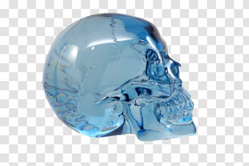 Plastic Bone - Turquoise - Design Transparent PNG