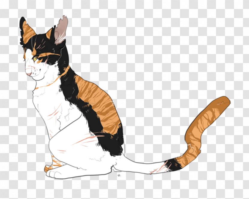 Kitten Whiskers Cat Dog Canidae - Like Mammal Transparent PNG