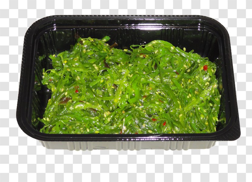 Lettuce Recipe - Grass - Shumai Transparent PNG