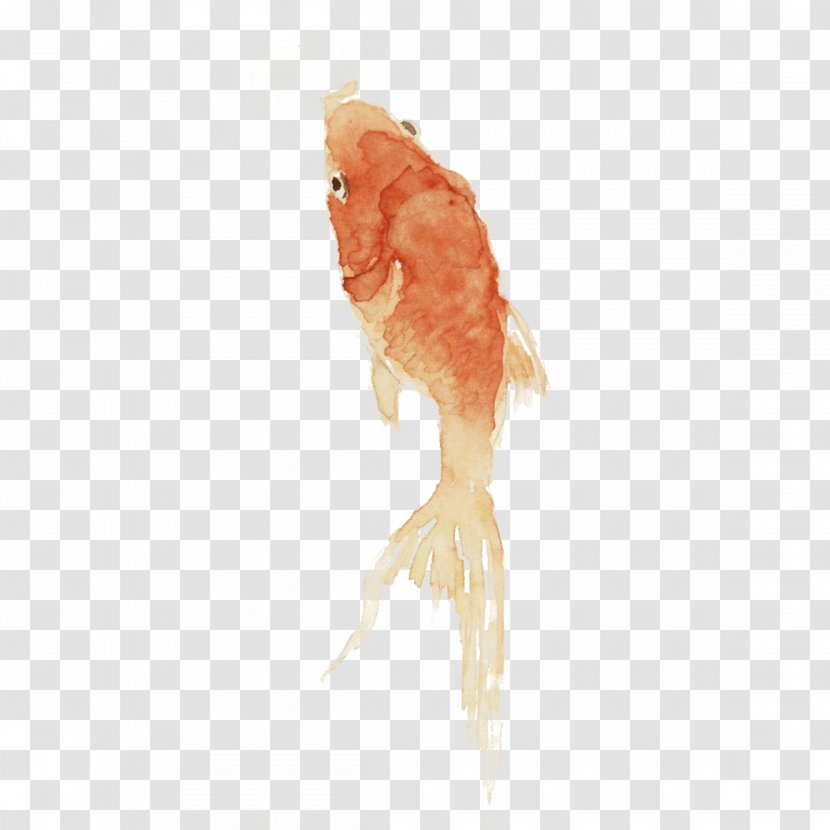 Animal - Goldfish Swimming Transparent PNG