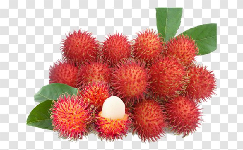 Rambutan Giant Granadilla Pitaya Fruit Tree - Pulasan - Thai Transparent PNG