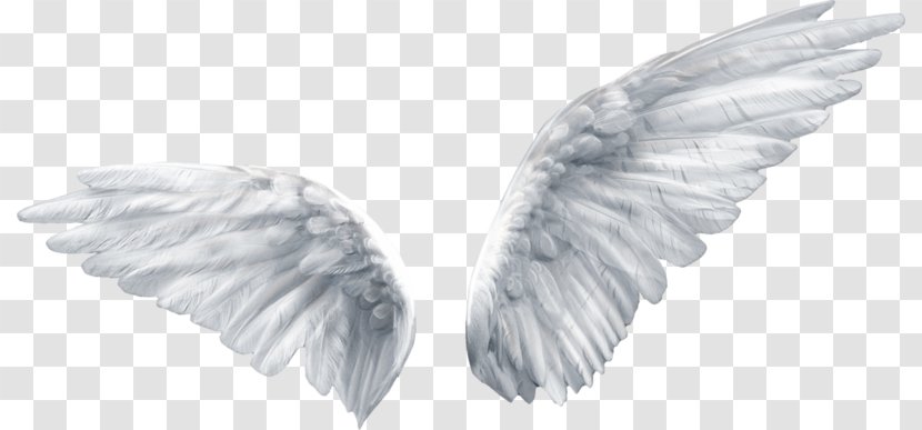 Clip Art Image Free Content Transparency - Angel Wings Kiss Transparent PNG