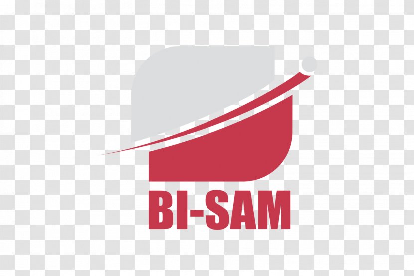 Logo Brand Product Design Font - Biegravere Flag Transparent PNG