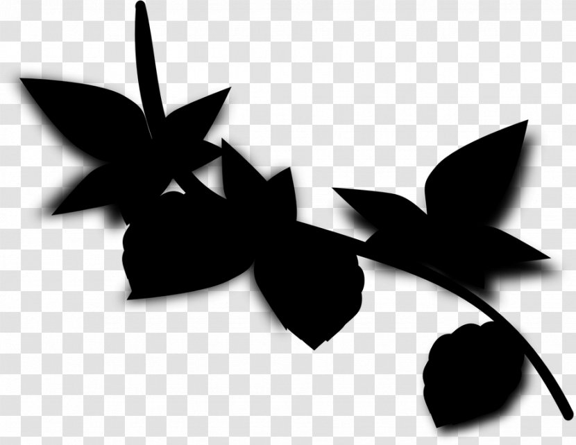 Black & White - Blackandwhite - M Font Silhouette Leaf Transparent PNG