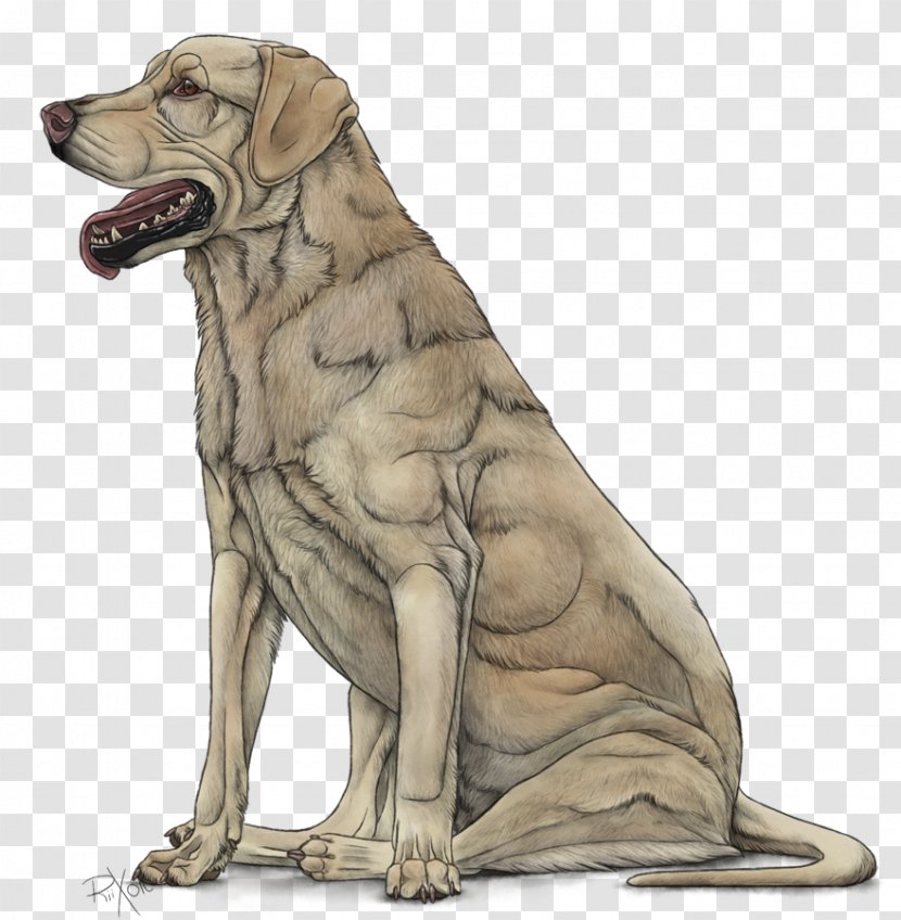 Dog Breed Labrador Retriever Sporting Group Puppy Transparent PNG