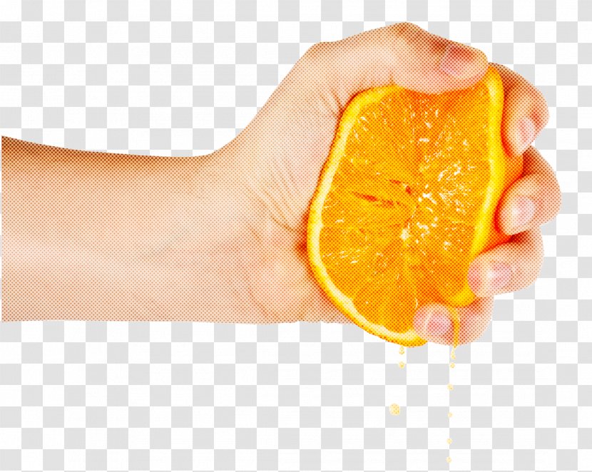 Orange - Fruit - Food Transparent PNG