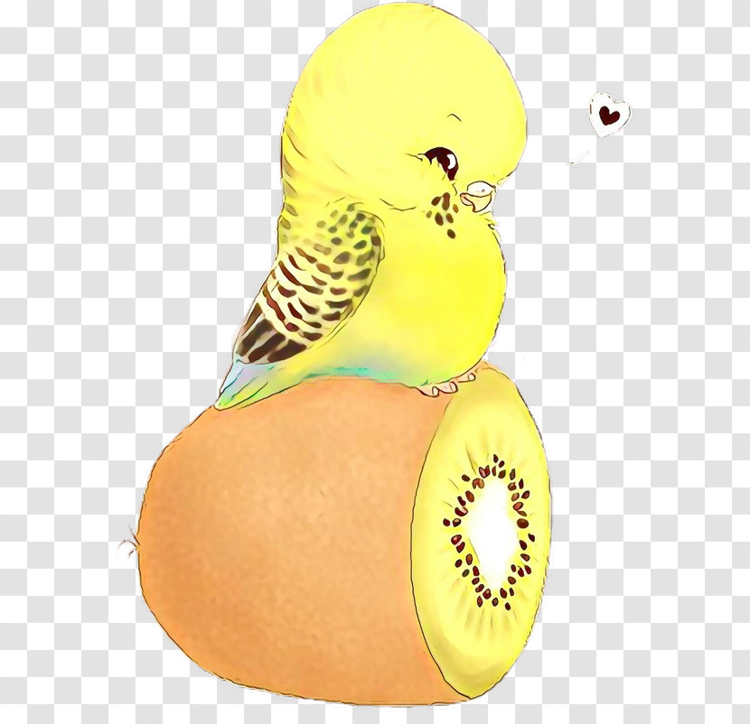 Yellow Bird Budgie Parakeet Kiwifruit Transparent PNG