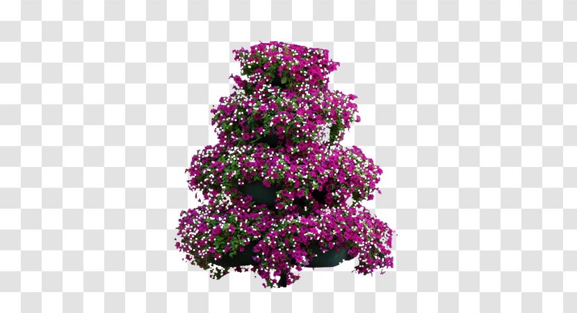 Floral Design Cut Flowers Shrub - Buddleja Border Transparent PNG