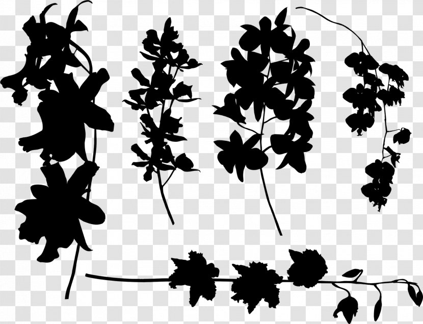 Twig Plant Stem Leaf Pattern Font - Monochrome Photography Transparent PNG