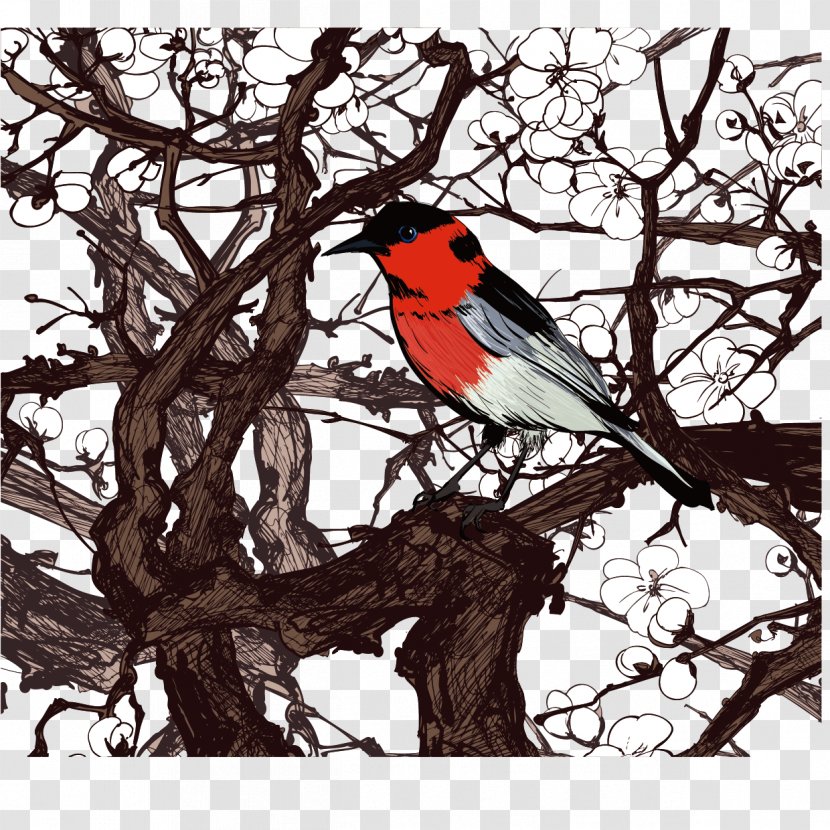 Cherry Blossom Stock Photography Illustration - Tree Bird Vector Transparent PNG