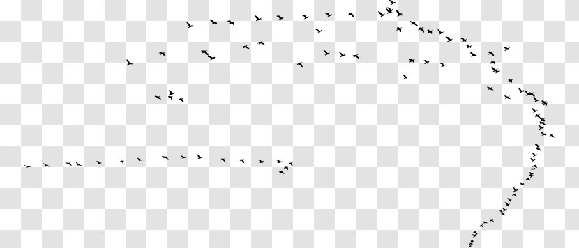 Bird Migration Swarm Behaviour Beak - Handwriting - Silhouette Birds Transparent PNG