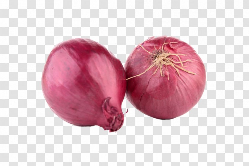 Red Onion Shallot Stock Photography Clip Art - Food - Free Creative Pull Onions Transparent PNG