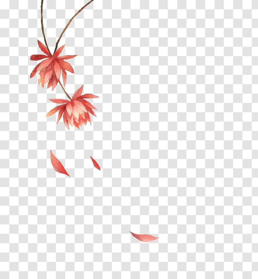 Clip Art Image Drawing Cartoon - Petal - Design Transparent PNG