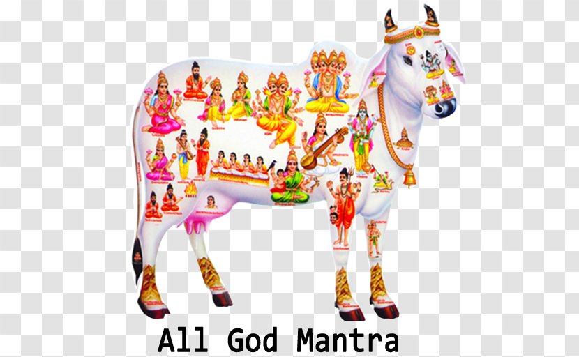 Cattle In Religion And Mythology Kamadhenu Krishna Hinduism Hindu Transparent PNG