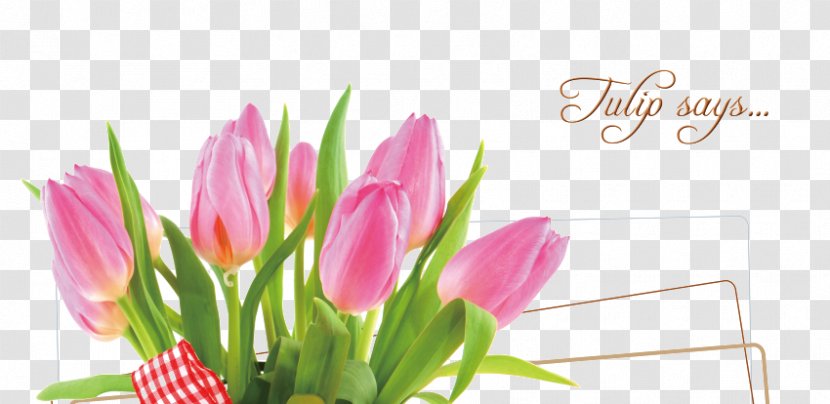 Tulip Floral Design Mothers Day Happiness - Beautiful Tulips Transparent PNG