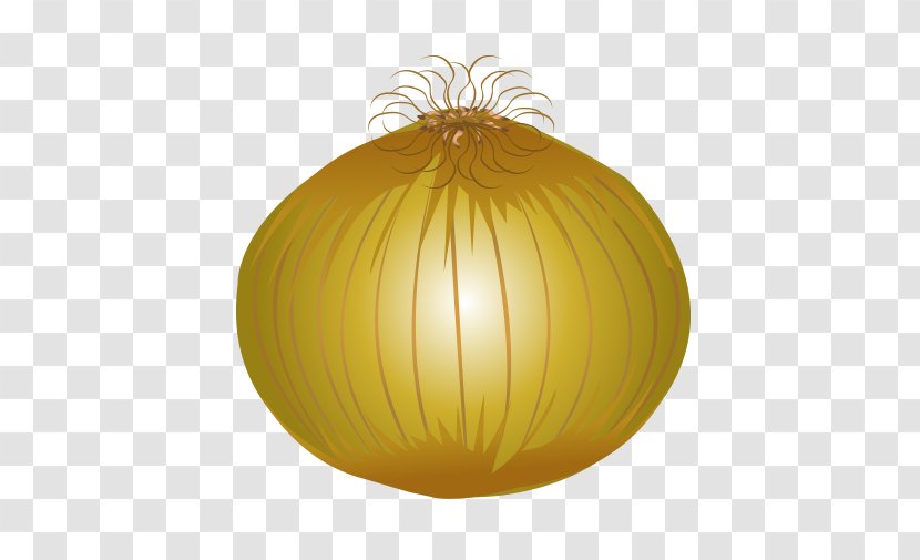 Pumpkin Winter Squash Yellow Fruit Lighting - Sphere - Vector Food Onion Transparent PNG