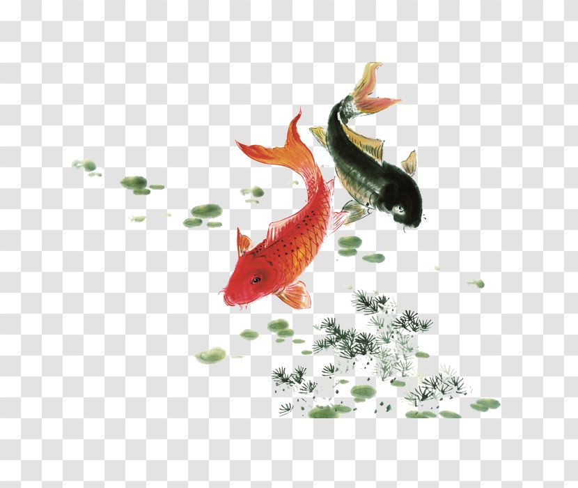 Koi Ink Wash Painting Watercolor Fish - Gongbi Transparent PNG