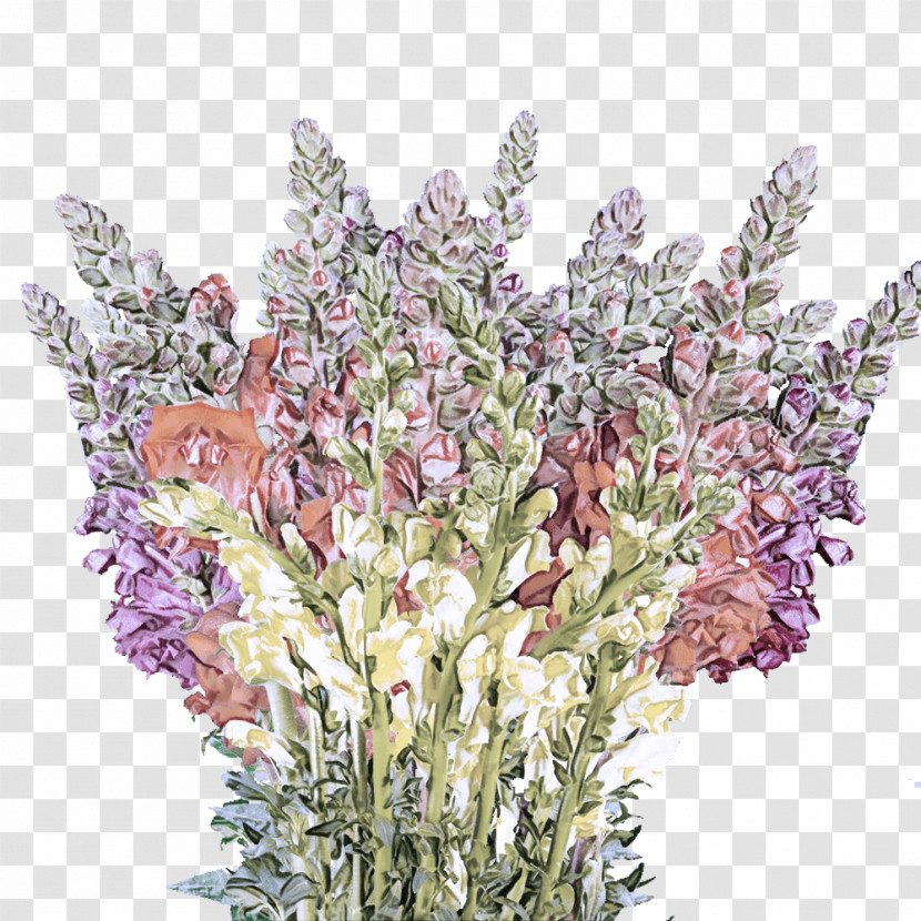 Floral Design Transparent PNG