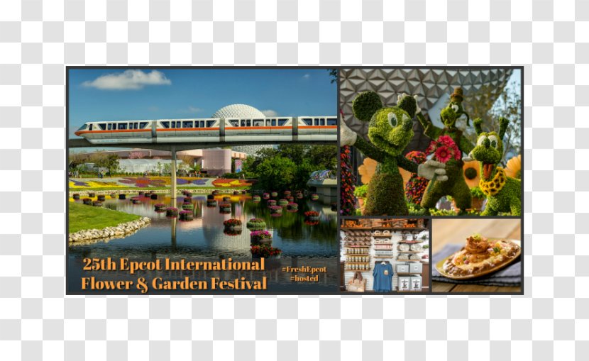 Disney's Hollywood Studios Epcot International Flower & Garden Festival Star Tours – The Adventures Continue Friendship Launch - Travel - GatewayEpcot Transparent PNG