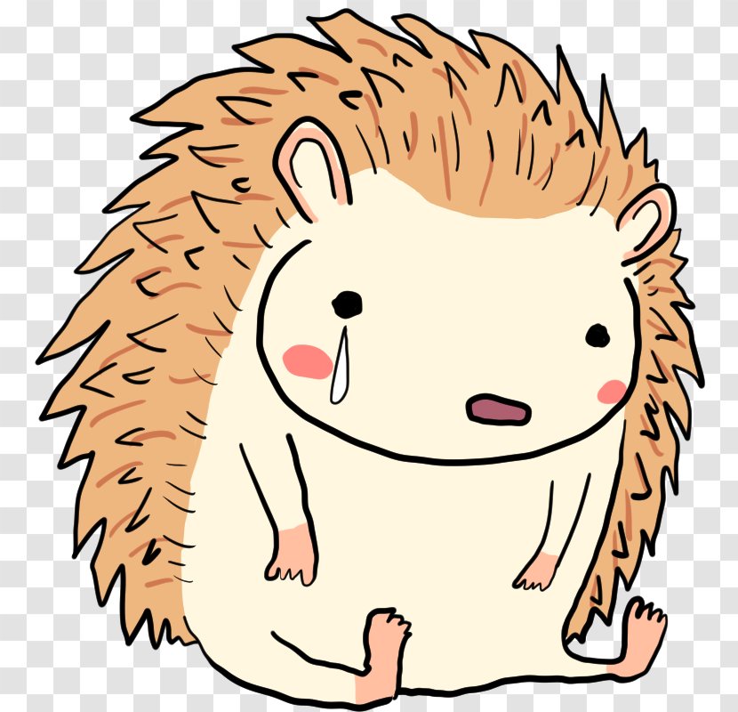 Illustration Hedgehog Sadness Crying Anger - Face Transparent PNG