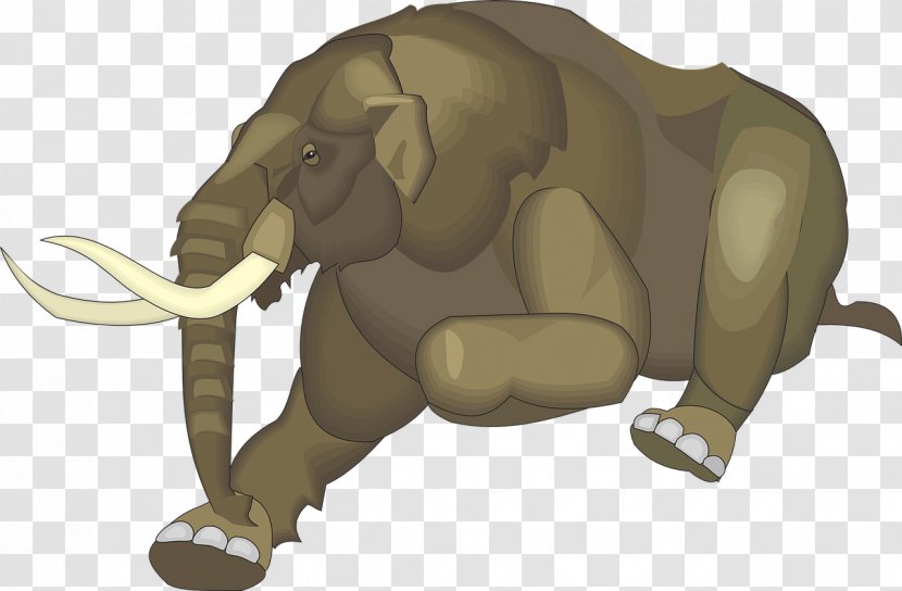 African Elephant Tusk - Elephants Transparent PNG