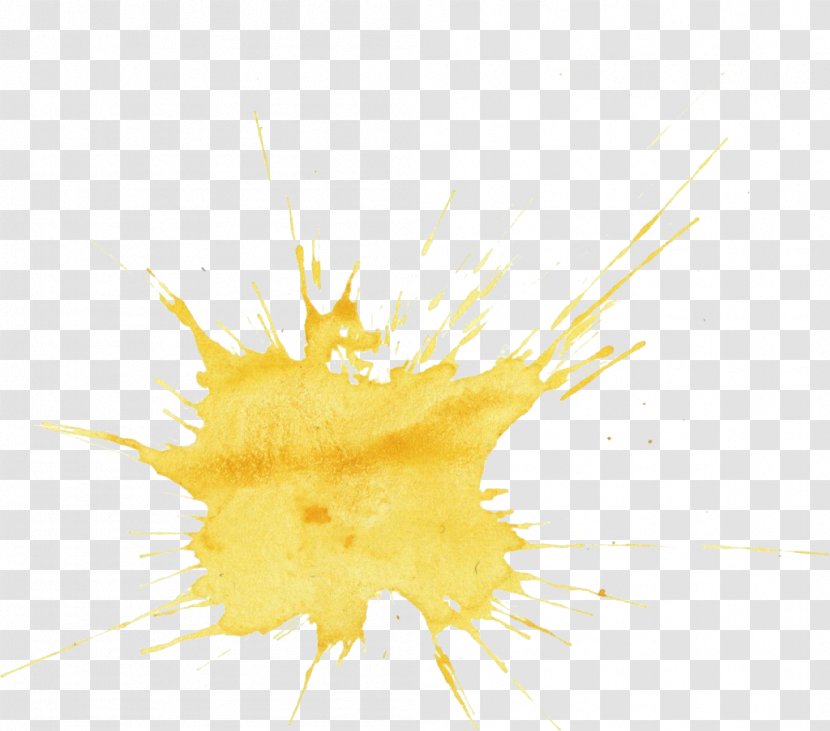Watercolor Painting Yellow - Photography - Water Color Transparent PNG