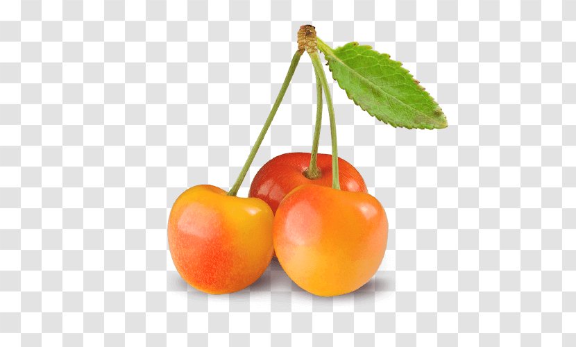 Cherries Rainier Cherry Royal Ann Bing Food - Fruit Transparent PNG