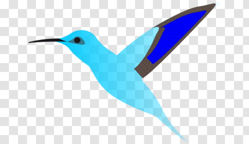 Hummingbird Drawing - Bird - Logo Perching Transparent PNG