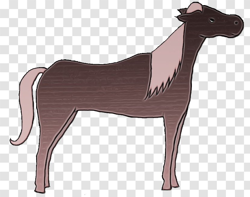 Dog Mustang Camel Yonni Meyer Horse - Liver - Llama Fawn Transparent PNG
