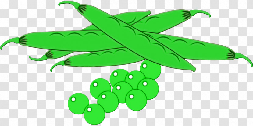 Pea Vegetable Soup Transparent PNG