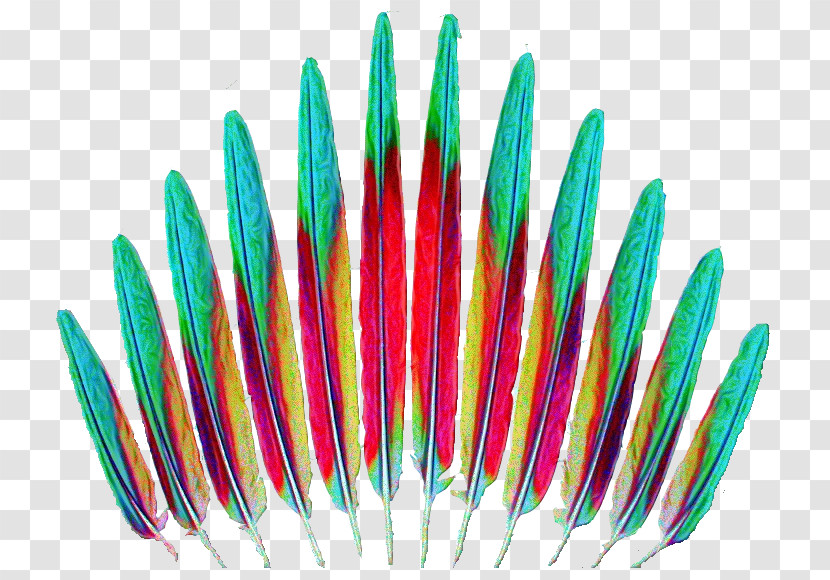 Feather Transparent PNG