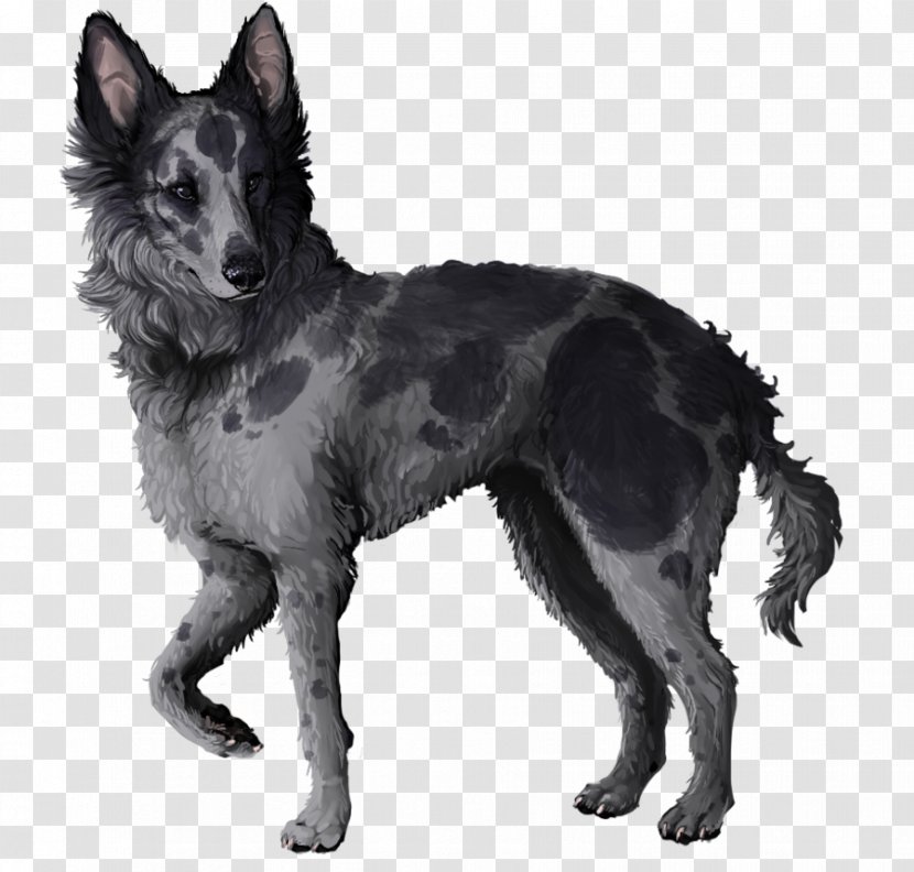 Mudi Tervuren Shiloh Shepherd Dog Kunming Wolfdog Kuvasz - Breed Group - Digital Markings Transparent PNG