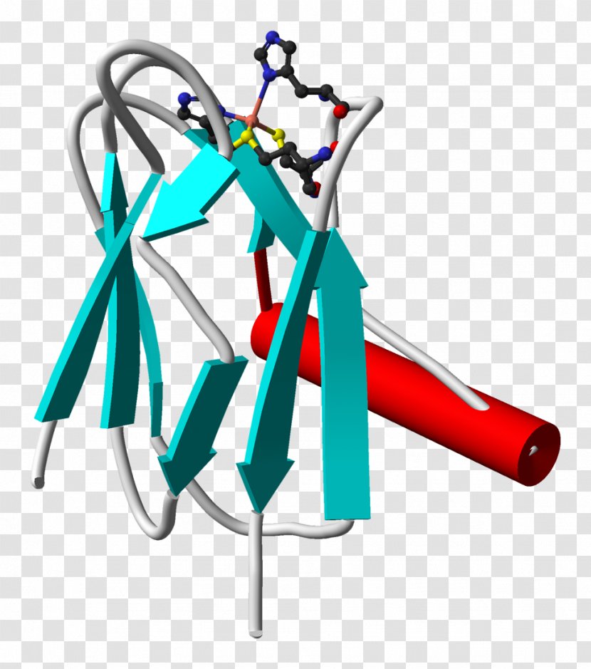 Plastocyanin Light-dependent Reactions Cytochrome B6f Complex Photosystem - Xray Crystallography - From Transparent PNG